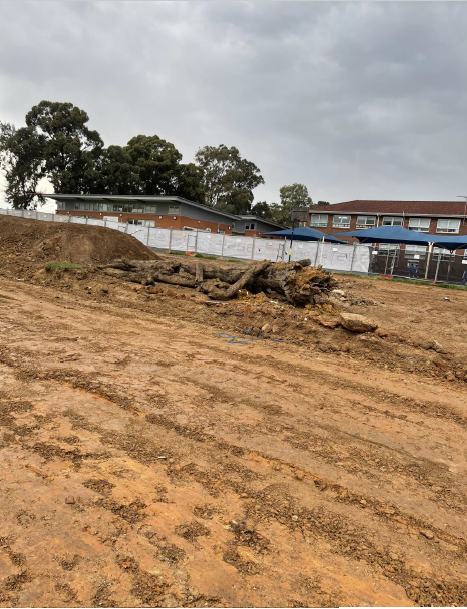 st joseph primary school - earthworks